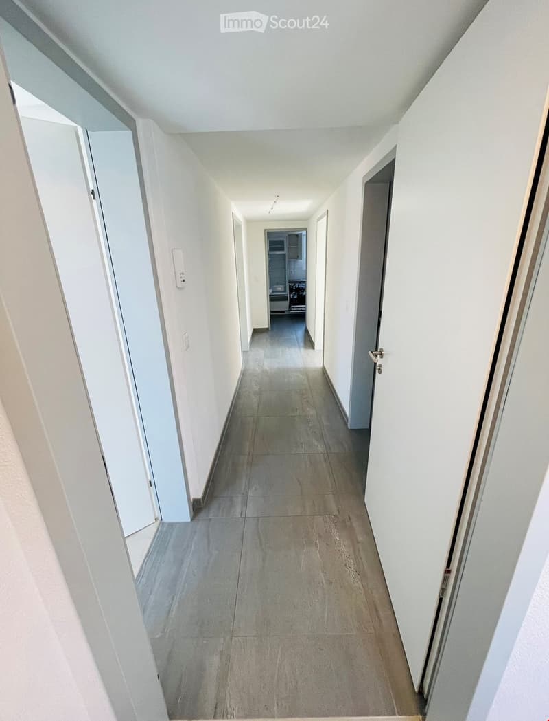 4.5 Zimmer Attikawohnung mit grosser Terrasse (4)