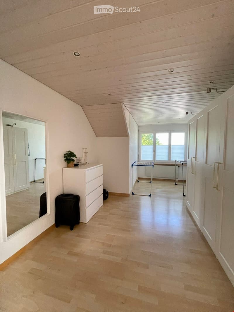 A well-lit hallway with wooden flooring, white walls, and a slanted ceiling. Features include a large mirror, a small drawer unit with a plant on top, a stool, and a small table with a chair in the background.