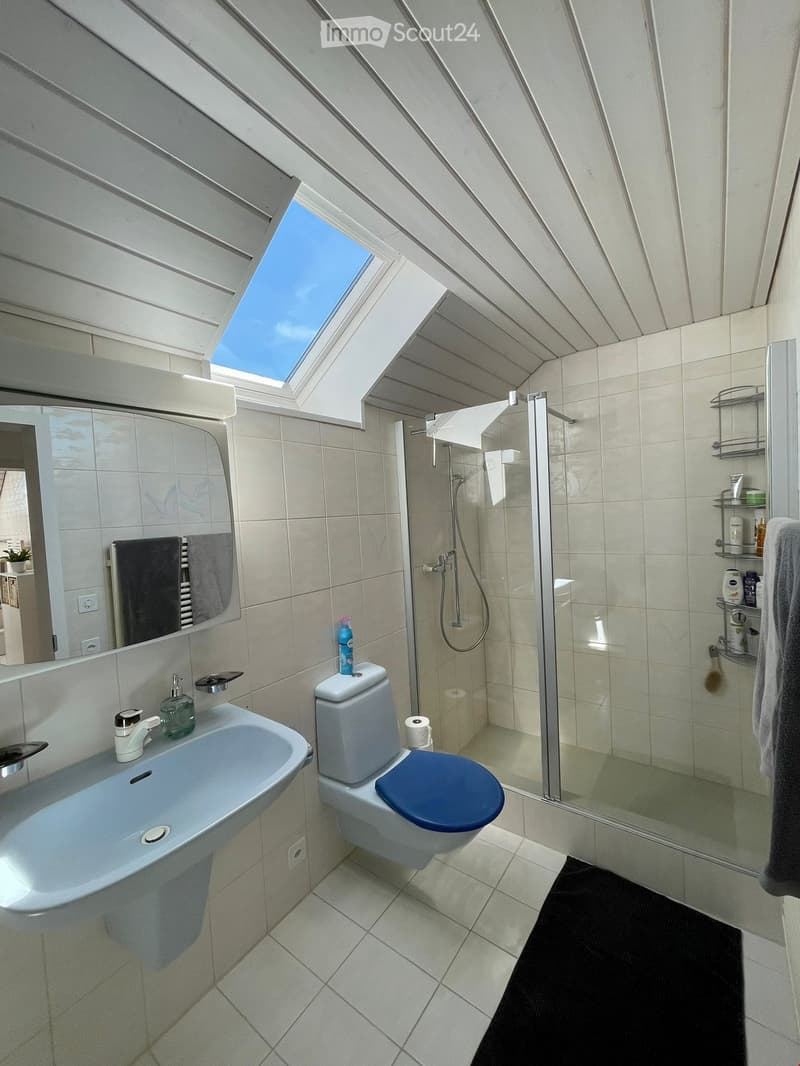 Modern bathroom with a skylight, white tiles, a sink with a mirror, a toilet, a glass-enclosed shower, and a towel rack with towels.
