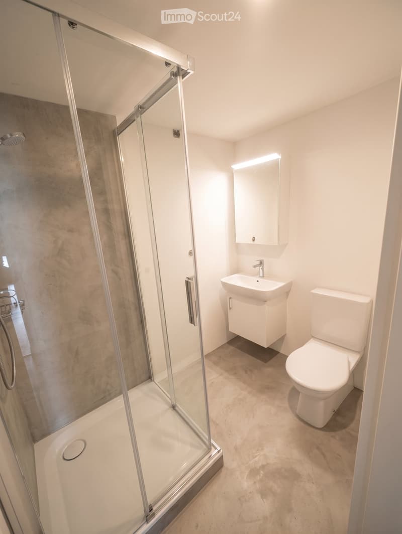 Modern bathroom with a glass-enclosed shower, toilet, sink, and built-in mirror cabinet.