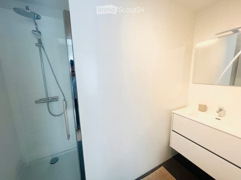 Modern bathroom with a glass-enclosed shower, a white sink with a mirror, and a sleek cabinet.