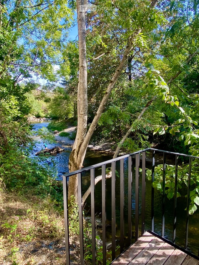 A wooden deck with a metal railing overlooks a serene river surrounded by lush greenery and trees.