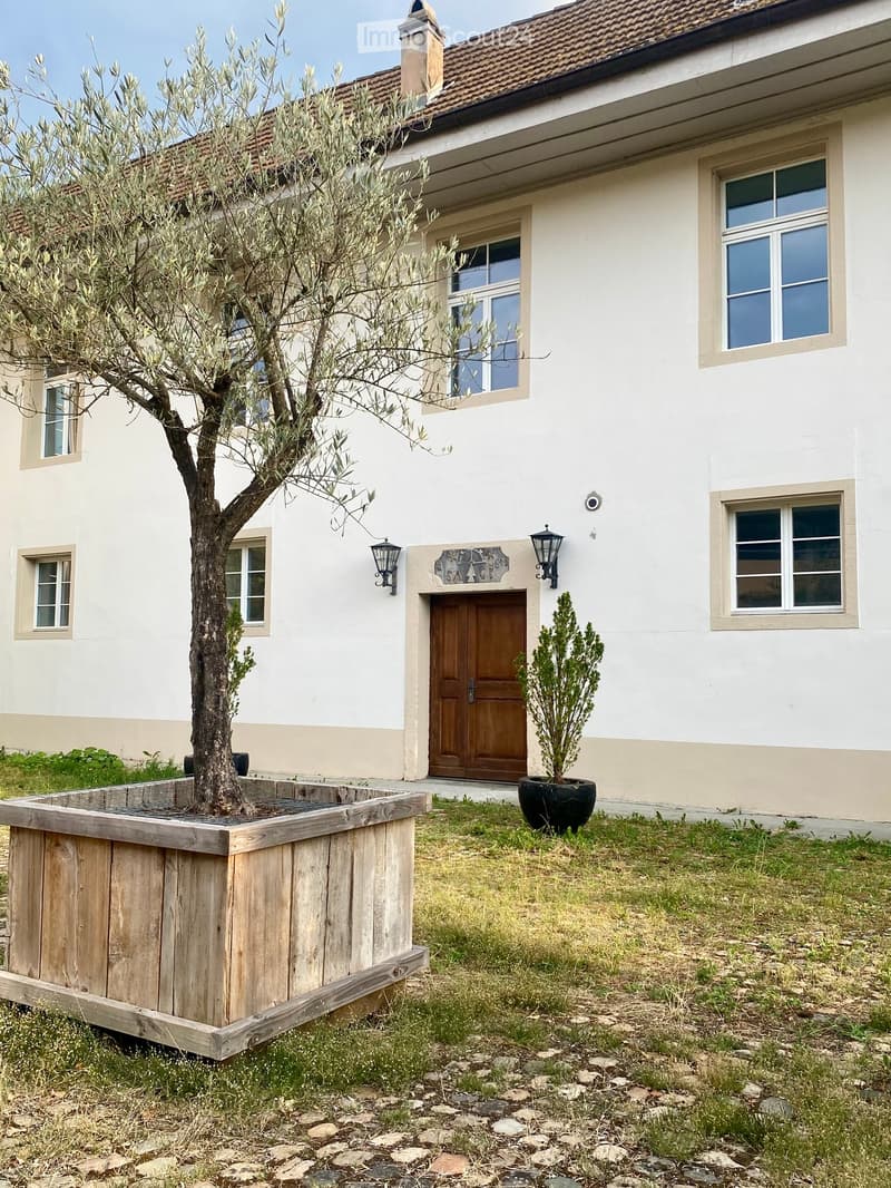 Two-story house with white walls, wooden front door, multiple windows, olive tree in a wooden planter, and small potted plant near the entrance.