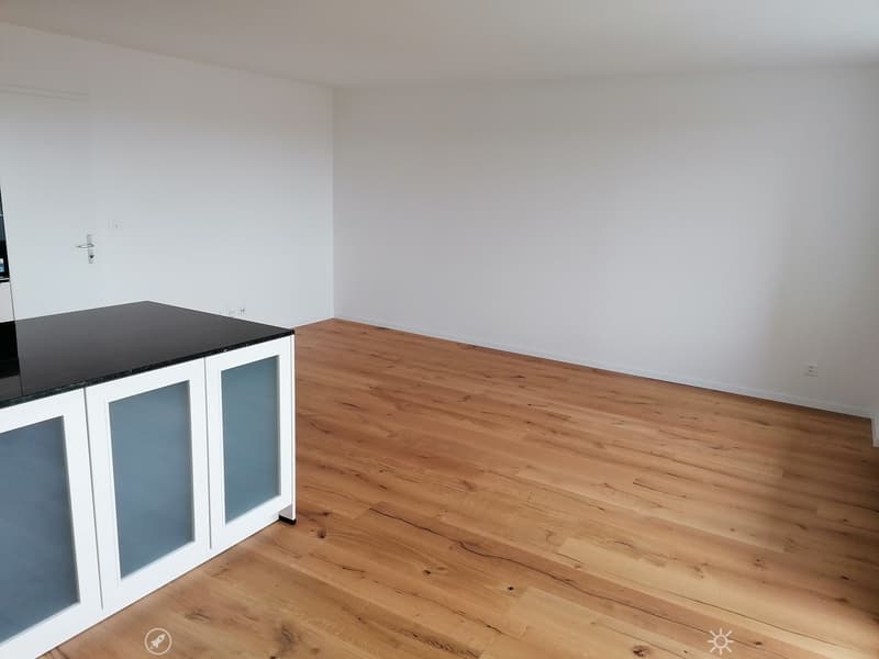 Empty room with light wooden flooring and white walls, featuring a small white cabinet with glass doors and a black countertop.