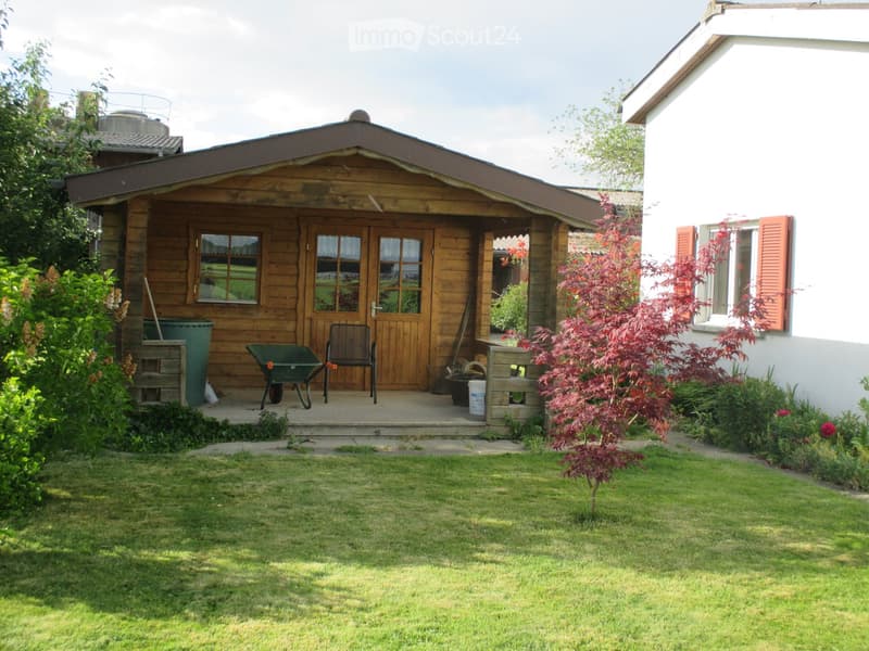 Garden area with a wooden shed, lawn, and surrounding plants. The shed has a door, windows, and a small porch with a chair and wheelbarrow.