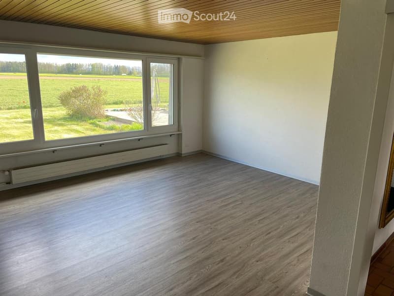 Empty room with wooden flooring, large windows overlooking a green field, and a simple wooden ceiling.