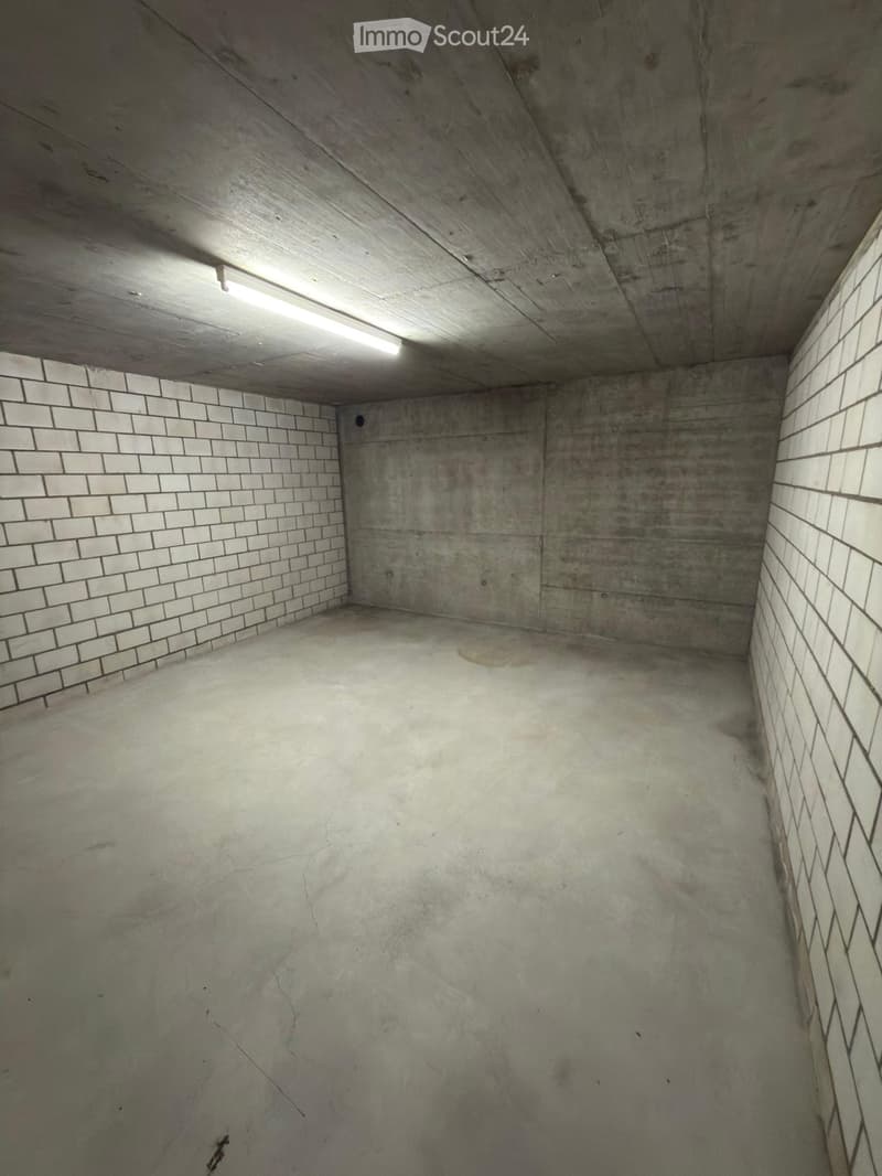 Empty concrete room with white tiled walls and a single fluorescent light fixture on the ceiling.