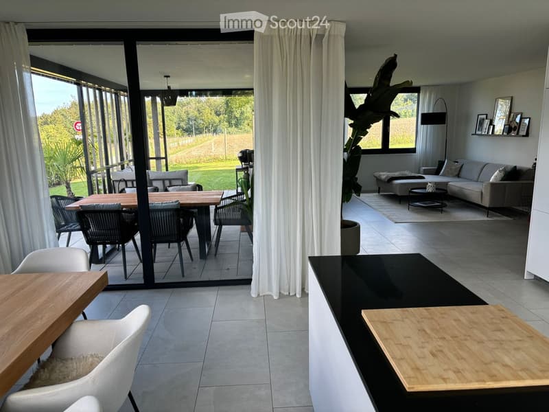 Modern living and dining area with large windows, white curtains, grey sofa, coffee table, dining table with chairs, and a potted plant.