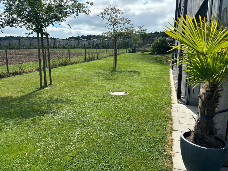 Well-maintained lawn with a paved pathway, a large potted plant near the house, and a fenced garden area with trees and cultivated plots in the background.