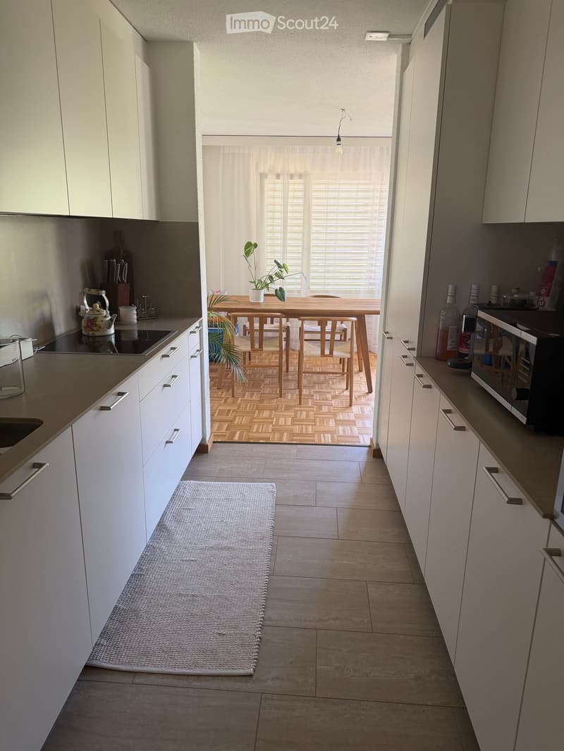 Modern kitchen with white cabinets, stainless steel appliances, and a dining area with a wooden table and chairs. Includes a potted plant on the table and a gray rug on the floor.