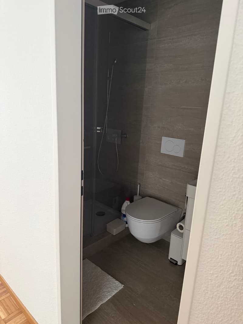 Modern bathroom with a toilet, shower, and toilet paper holder. The shower has a glass enclosure, and the floor is wooden with a small white rug. A bottle and toilet brush are placed near the toilet.