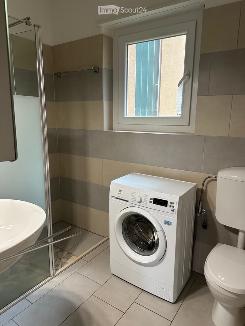 Modern bathroom with a washing machine, toilet, and sink, featuring tiled walls and a glass-enclosed shower area.