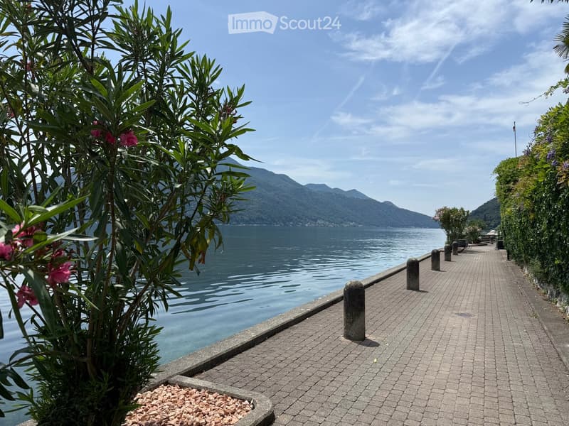 Möblierte 2½-Zimmer-Wohnung in Melide – nur 50 m vom Luganersee (17)
