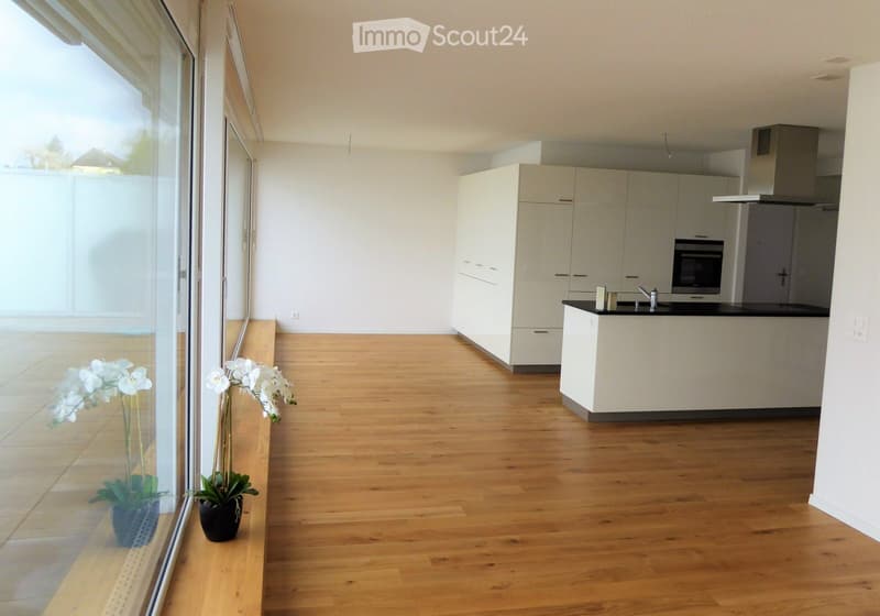 Modern kitchen with white cabinets, black countertop, and wooden flooring. Features a large window with two potted orchids on the windowsill.