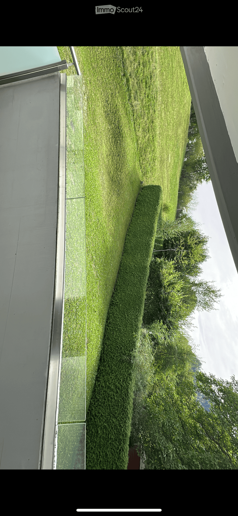 A well-maintained garden with a neatly trimmed lawn, a hedge, and trees, adjacent to a modern building with large glass windows.