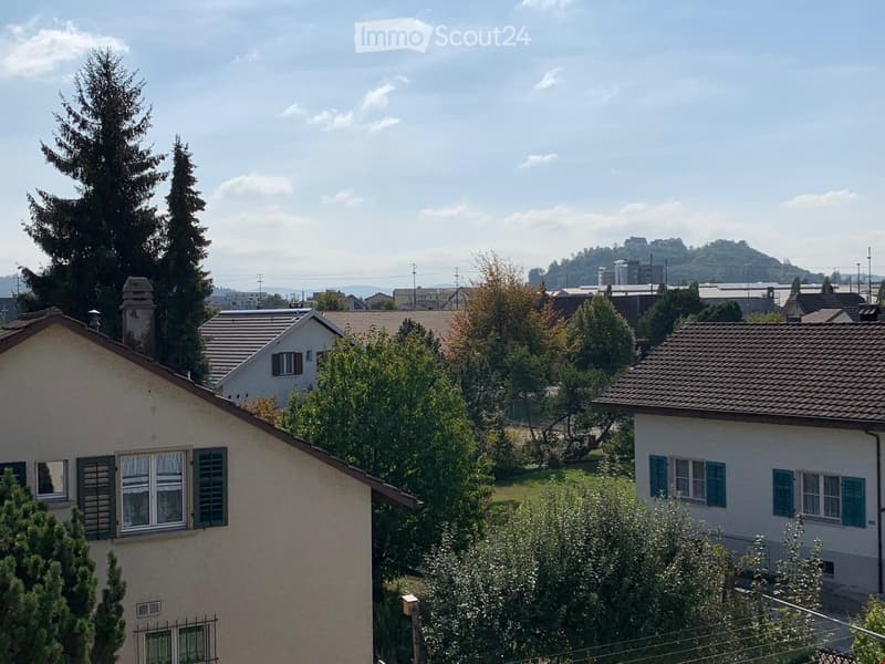 Residential houses with pitched roofs, surrounded by trees and greenery, with a distant cityscape visible in the background.