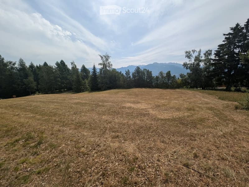 Open grassy field surrounded by trees and mountains under a partly cloudy sky.