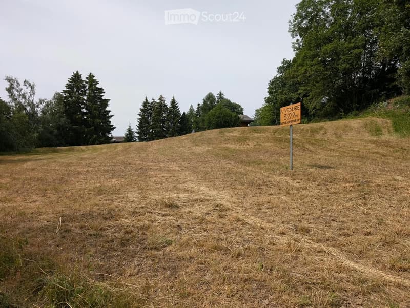 A grassy, sloping outdoor area with a "Vendre 3279 m²" sign, surrounded by trees and a distant house.