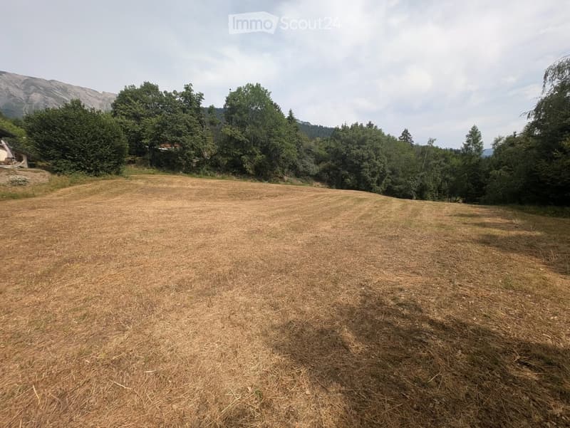 Open grassy field with scattered trees and a small structure in the background, surrounded by mountains.