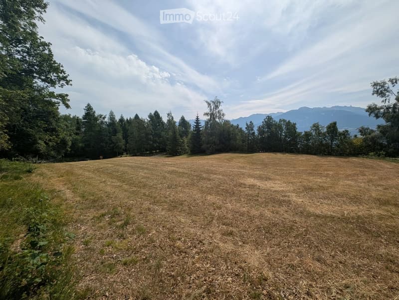 Open grassy field surrounded by trees and mountains under a partly cloudy sky.