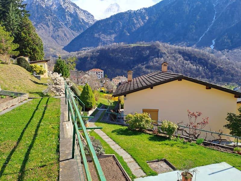 Green lawn, green railing, plants, trees, mountains in the background