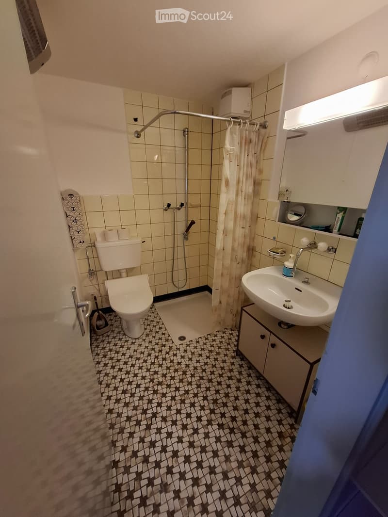 small bathroom with toilet, shower, sink, and cabinet