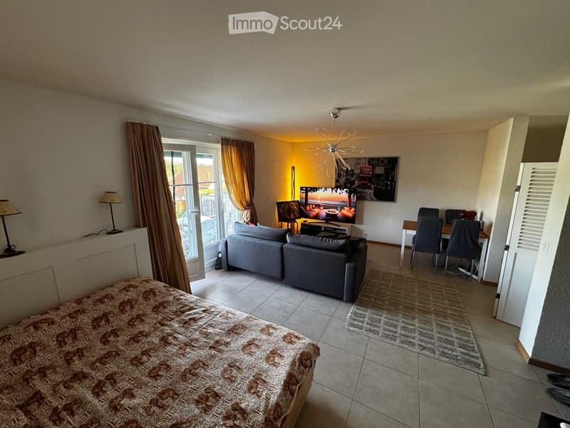 Open-plan living and bedroom area with a sofa, TV, dining table, chairs, and a bed.