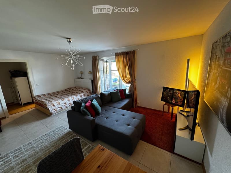 A modern living room with a grey sectional sofa, wooden coffee table, bed, television on a stand, and decorative lamps.