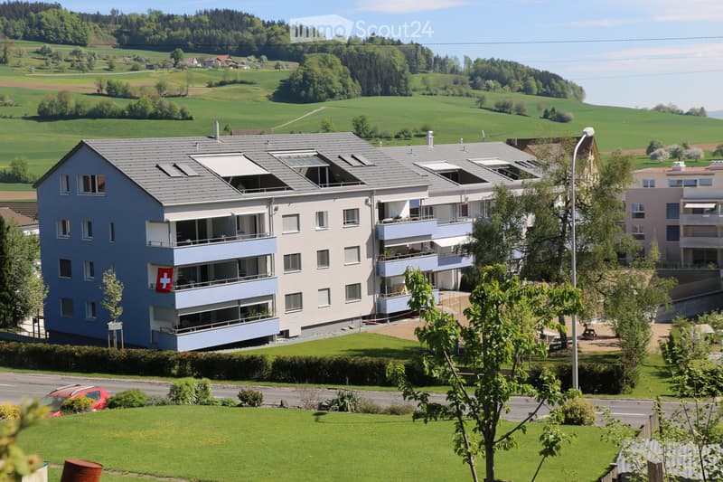 Neuere Dachwohnung mit grosser Terrasse (1)