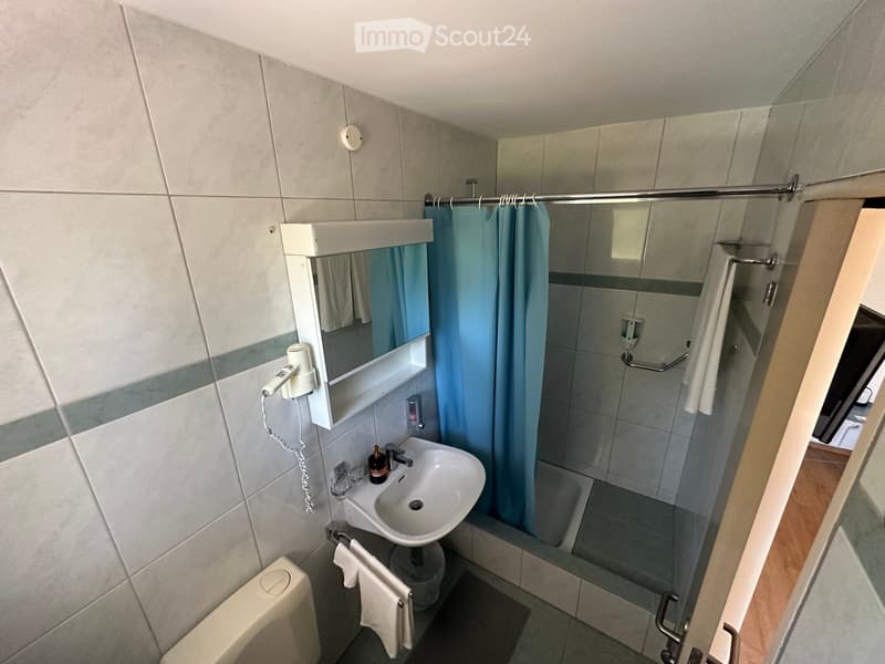 Modern bathroom with a sink, mirror, toilet, hair dryer, and a shower area with a blue curtain.