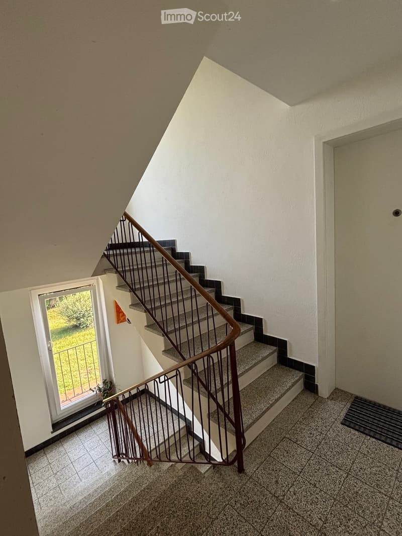 modern staircase, tiled steps, modern handrail, white walls, small plant