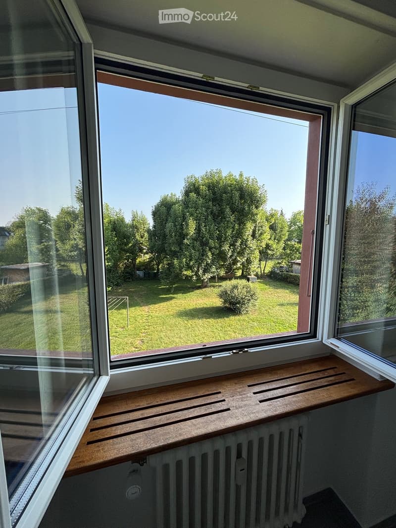 Large window, white frames, wooden windowsill, white radiator, glass windows, green outdoor view, clear blue sky