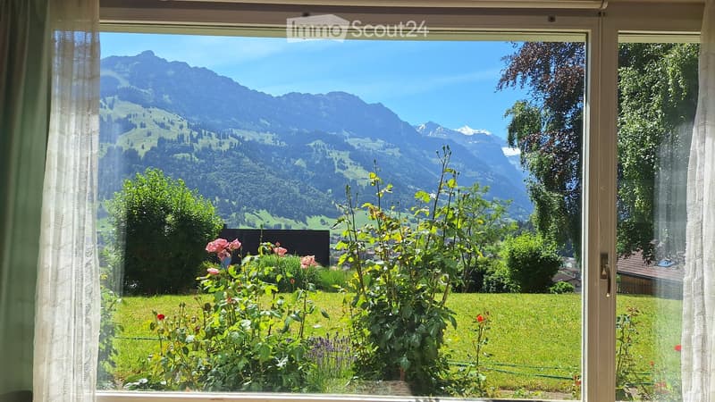 View from a window showing a lush green garden with flowers and a scenic mountain range in the background.