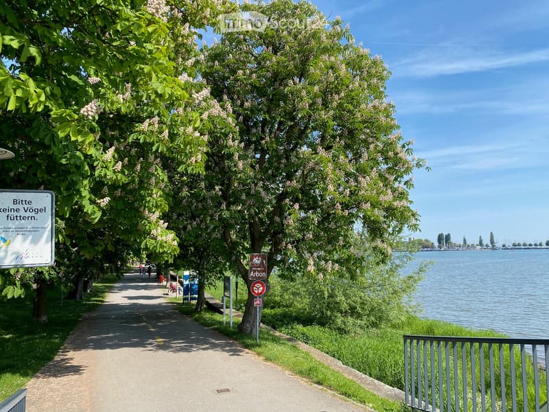 A tree-lined pathway beside a body of water, with a signboard and a railing visible.