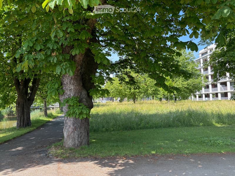 A park-like outdoor area with a paved pathway, large trees, grassy areas, and a modern building in the background.