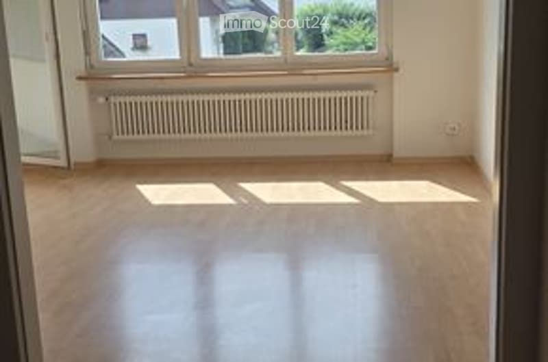 Empty room with wooden flooring, large window with white frame, radiator below window, natural light streaming in.