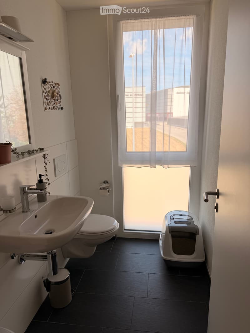 Modern bathroom with a white sink, chrome faucet, toilet, and a cat litter box. Features a large window with sheer curtains, a mirror, and a decorative stone wall piece.