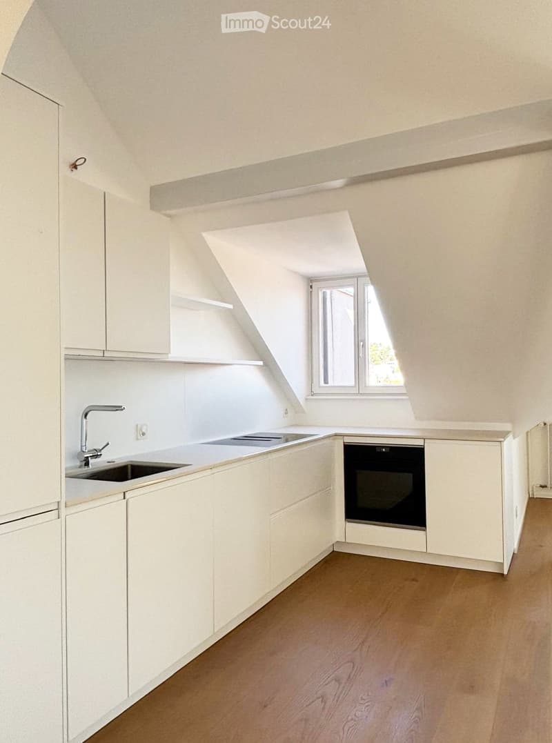 Modern, minimalist kitchen with white cabinets, a stainless steel sink, and a built-in oven. The room features wooden flooring and a skylight window providing natural light.