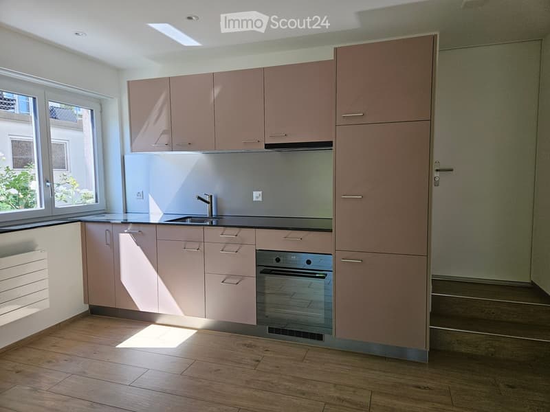 Modern kitchen with light pink cabinets, stainless steel appliances, wooden flooring, and large windows allowing natural light.