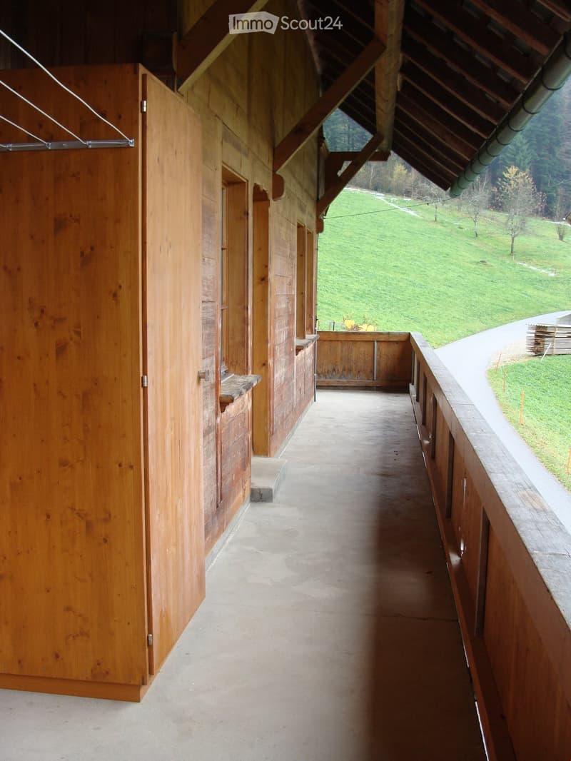 Wooden hallway with a concrete floor, wooden walls, and a wooden railing leading to a grassy outdoor area.
