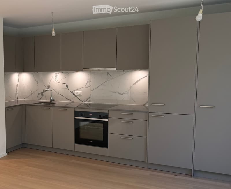Modern kitchen with grey cabinets, marble backsplash, wooden floor, and built-in oven.