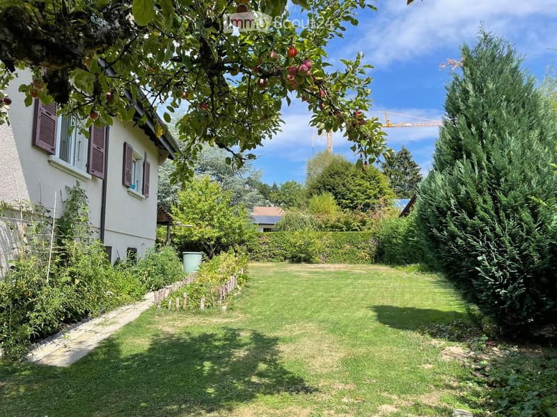 Well-maintained garden with a grassy lawn, fruit tree, shrubs, and a small white house in the background.