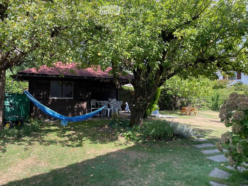 A serene garden area with a hammock, outdoor furniture, and a small wooden house with a red roof. The space is surrounded by lush greenery and trees, creating a peaceful outdoor setting.
