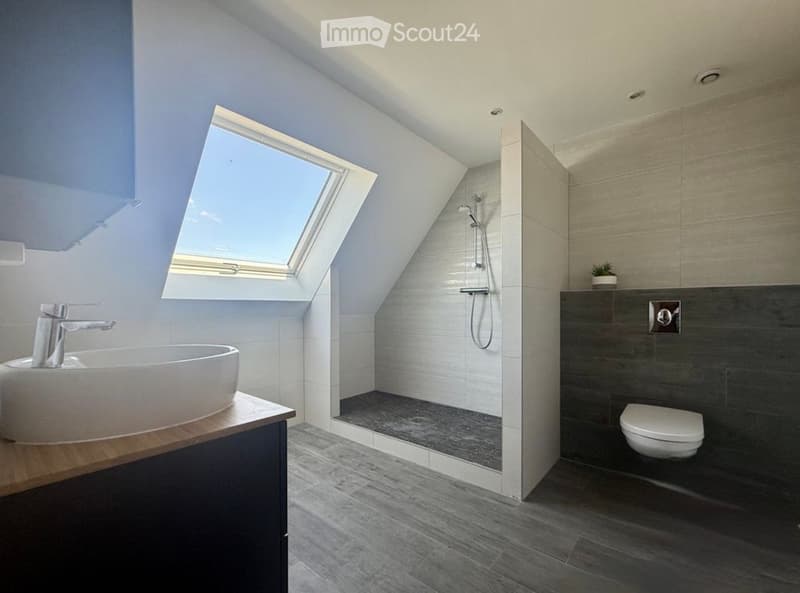 Modern bathroom with a skylight window, a sleek sink with a modern faucet, a toilet, and a walk-in shower with a glass enclosure.
