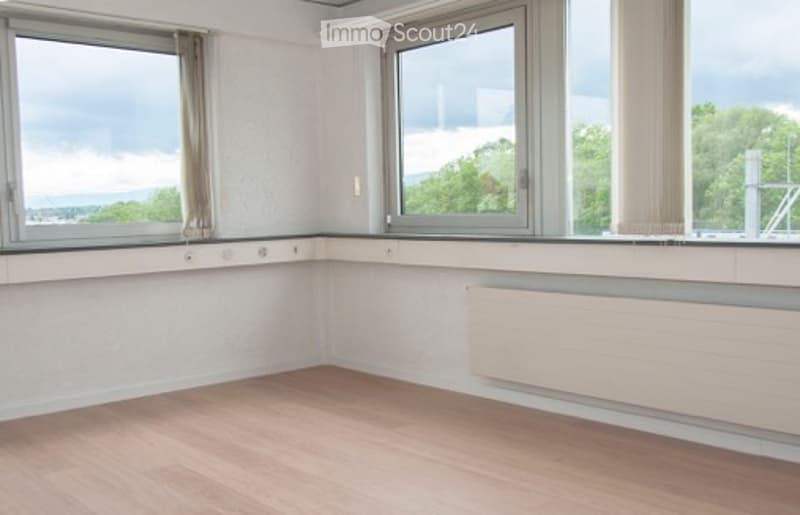 3 large windows, wooden floor, large white heater