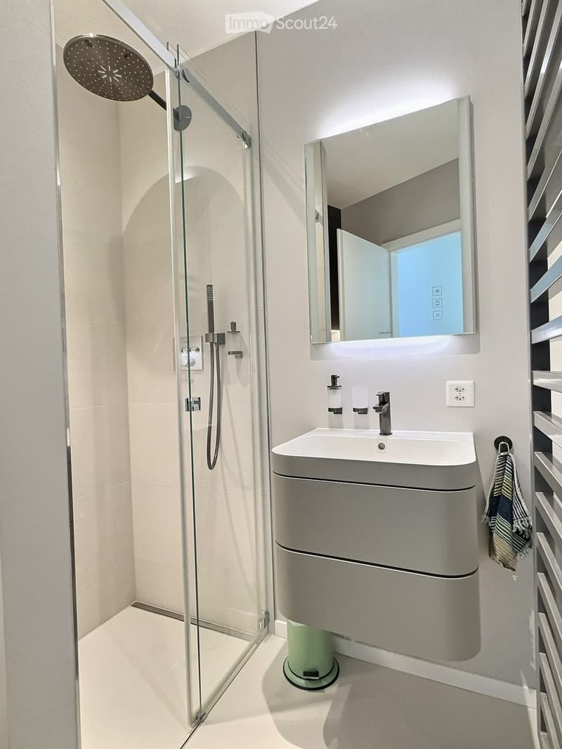 Modern bathroom with a glass-enclosed shower, a sleek sink with a built-in cabinet, and a large mirror above the sink.