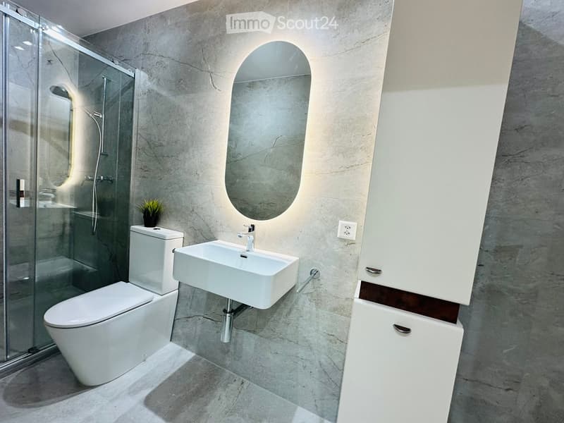 Modern bathroom with marble walls and floor, white toilet, sink, and mirrored cabinet. Features a glass-enclosed shower with a handheld showerhead and a small potted plant on the toilet tank.