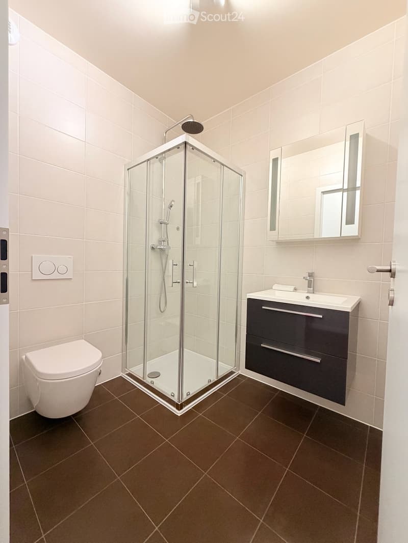 Modern bathroom with a glass-enclosed shower, toilet, sink with dark cabinet, and a mirror above the sink.