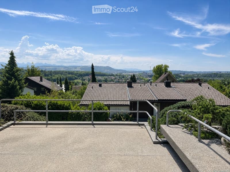 Roof terrace with metal railings, overlooking a suburban area with houses, trees, and distant mountains under a clear blue sky.