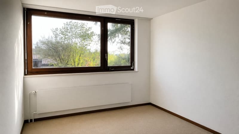 Empty room with white walls, carpeted floor, large window with wooden frame, and a white radiator below the window.